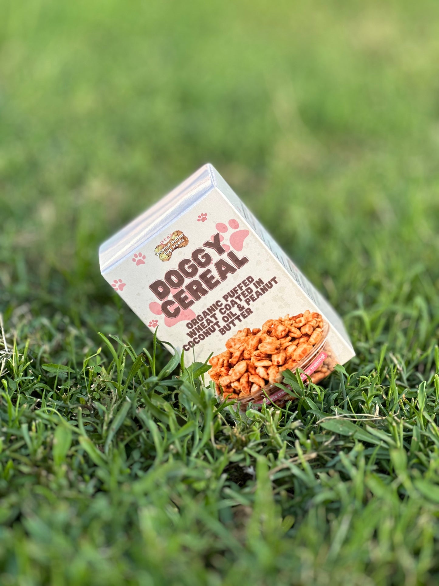 Doggy Cereal™️
